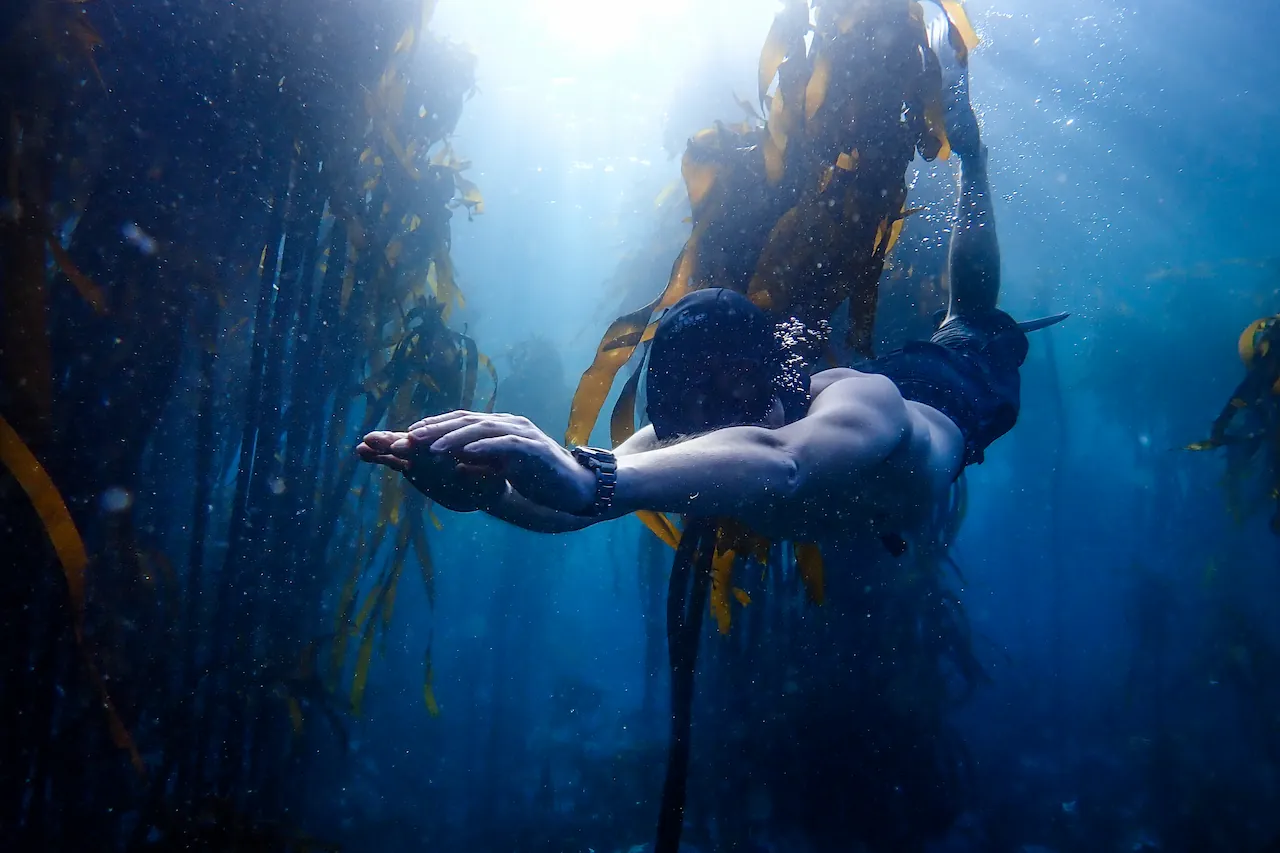 Jannes Landschoff diving in the kelp